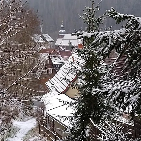 Ferienappartement Potthoff 2 Altenau  Buitenkant foto